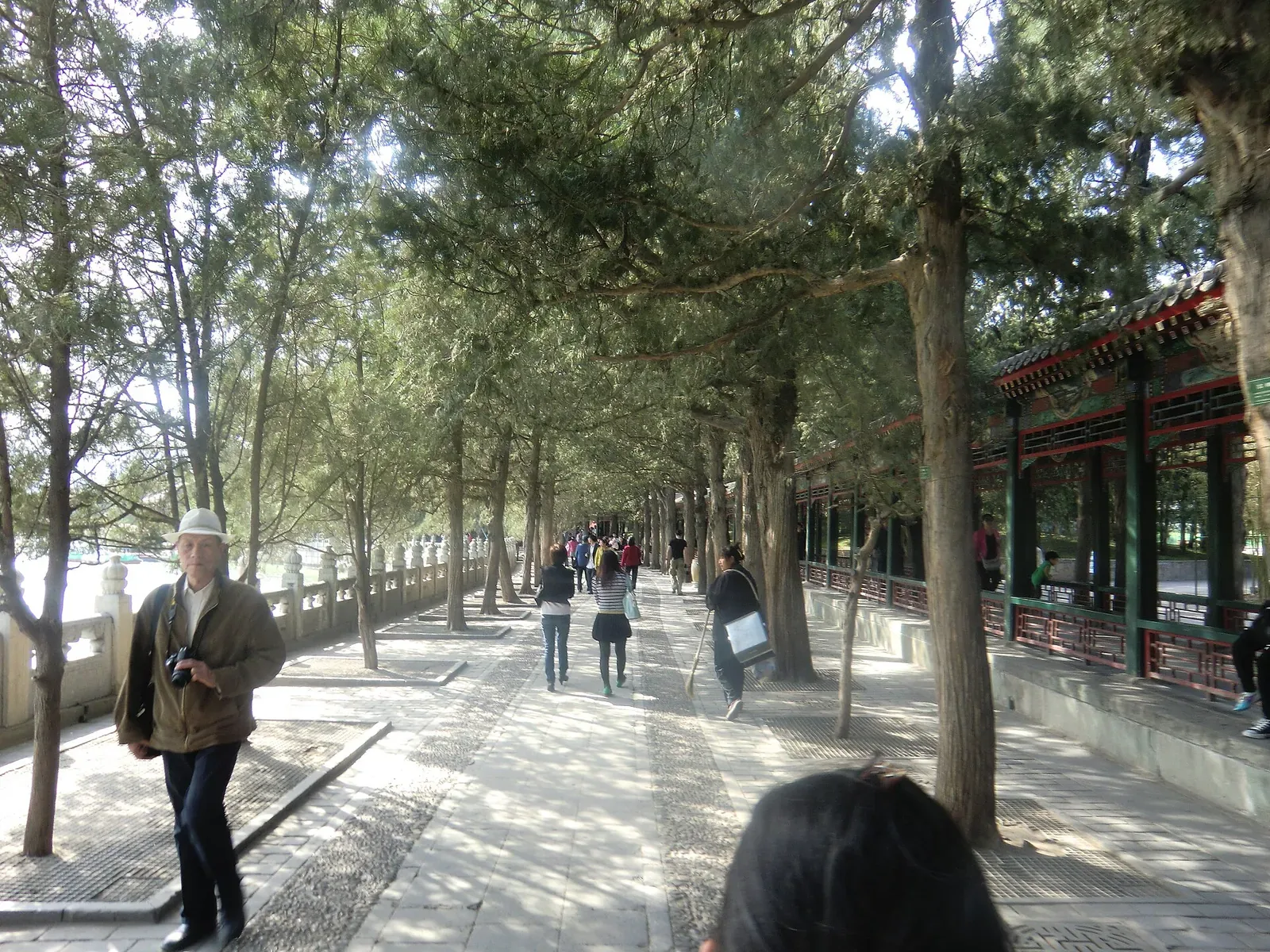 The Long Corridor at the Summer Palace in Beijing — a 728-meter covered walkway with painted beams, lined with ancient trees and a stone path, with a Chinese man in a white hat walking toward the camera and other visitors strolling in the dappled shade