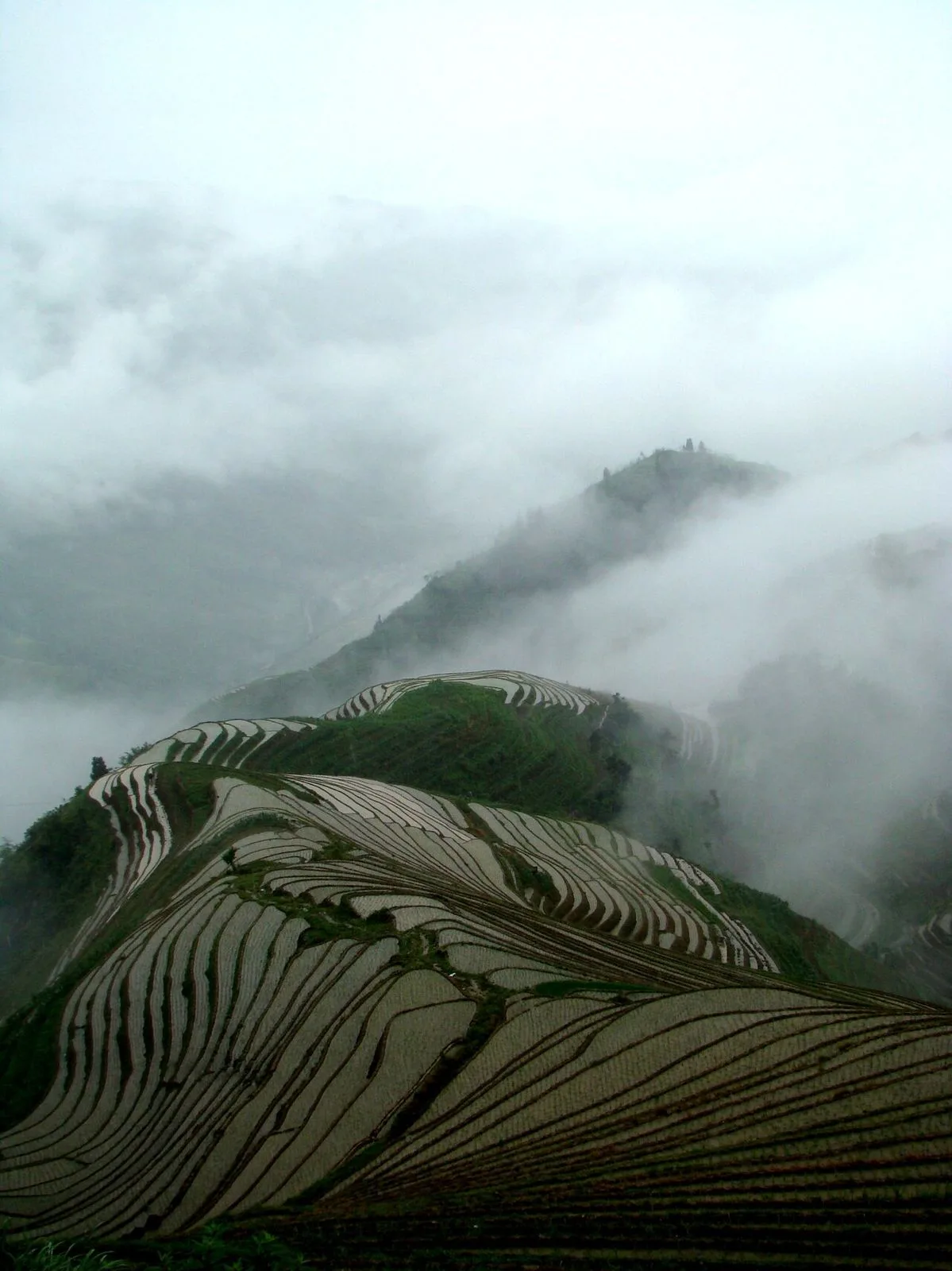 The Longji (Dragon's Backbone) Rice Terraces in spring — water-filled paddies curving up the slope like fish scales, with misty mountains disappearing into the clouds behind; the most-photographed terraces in China, built by the Zhuang people starting in the Yuan dynasty (1271) at 300-1,100m elevation