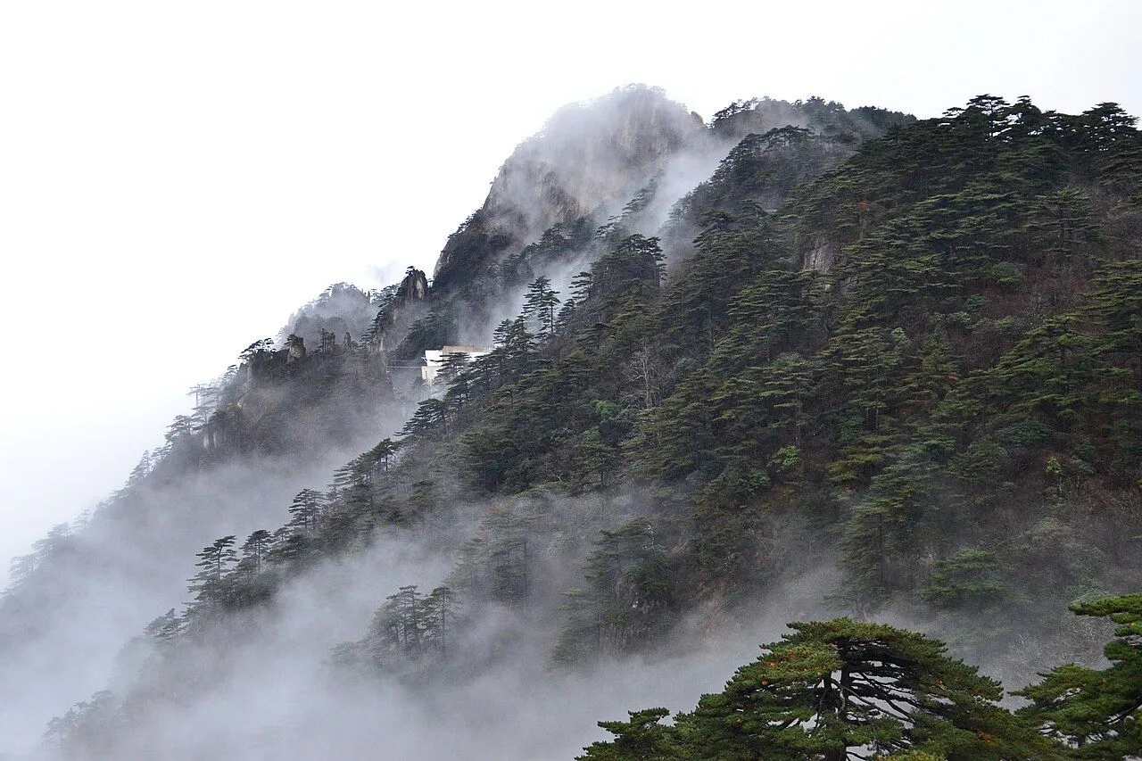Huangshan mountains with pine trees on the cliff and the famous "sea of clouds" (云海) flowing between the peaks — one of the 4 wonders of Huangshan (the others are strange pines, strange rocks, and hot springs); best viewed after rain at sunrise