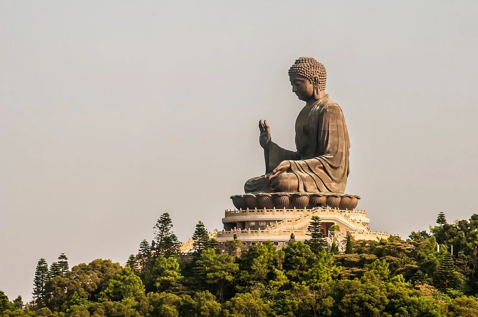 The Tian Tan Buddha (天壇大佛) full body view from below — the seated bronze Buddha on the lotus-petal throne raised above the 268 stone steps, the multi-tiered altar base with the museum below, the lush green tropical trees surrounding the platform, the iconic view from the start of the climb on Ngong Ping plateau, the largest seated bronze Buddha statue in the world