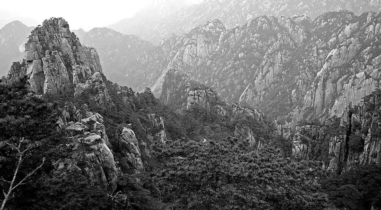Wide view of the Huangshan granite peaks with a forest in the foreground, showing the scale of the mountain range — 1,864m above sea level, 365 named peaks, 154 sq km of scenic area in southern Anhui province