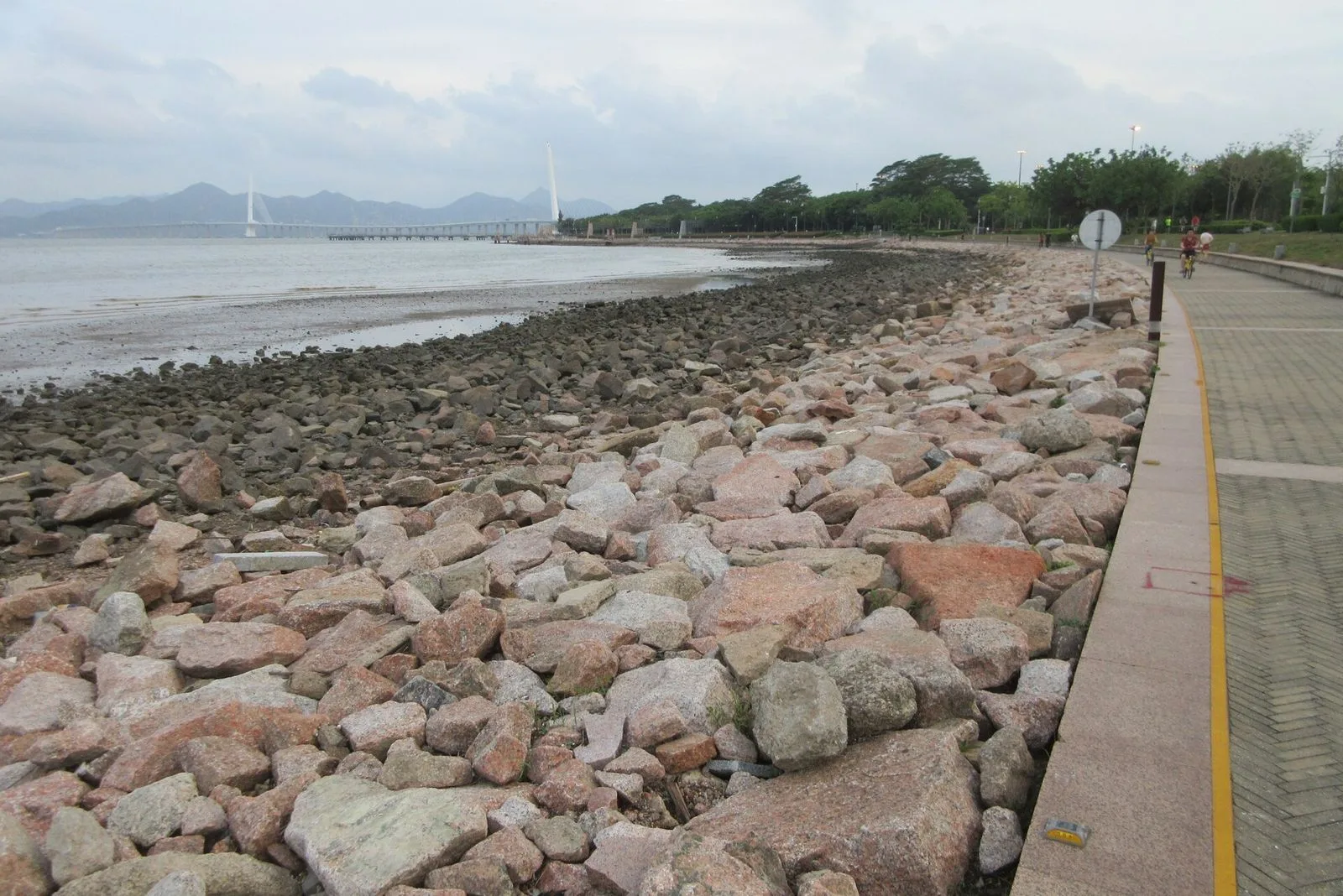 The Shenzhen Bay Park waterfront promenade — a paved pedestrian path lined with palm trees and railings, the rocky shoreline of Shenzhen Bay on the left, the Shenzhen Bay Bridge (深圳灣公路大橋) arching across the water in the distance connecting Shenzhen to Hong Kong, the 13km park that draws 100,000+ visitors on weekends and is the largest coastal park in Shenzhen