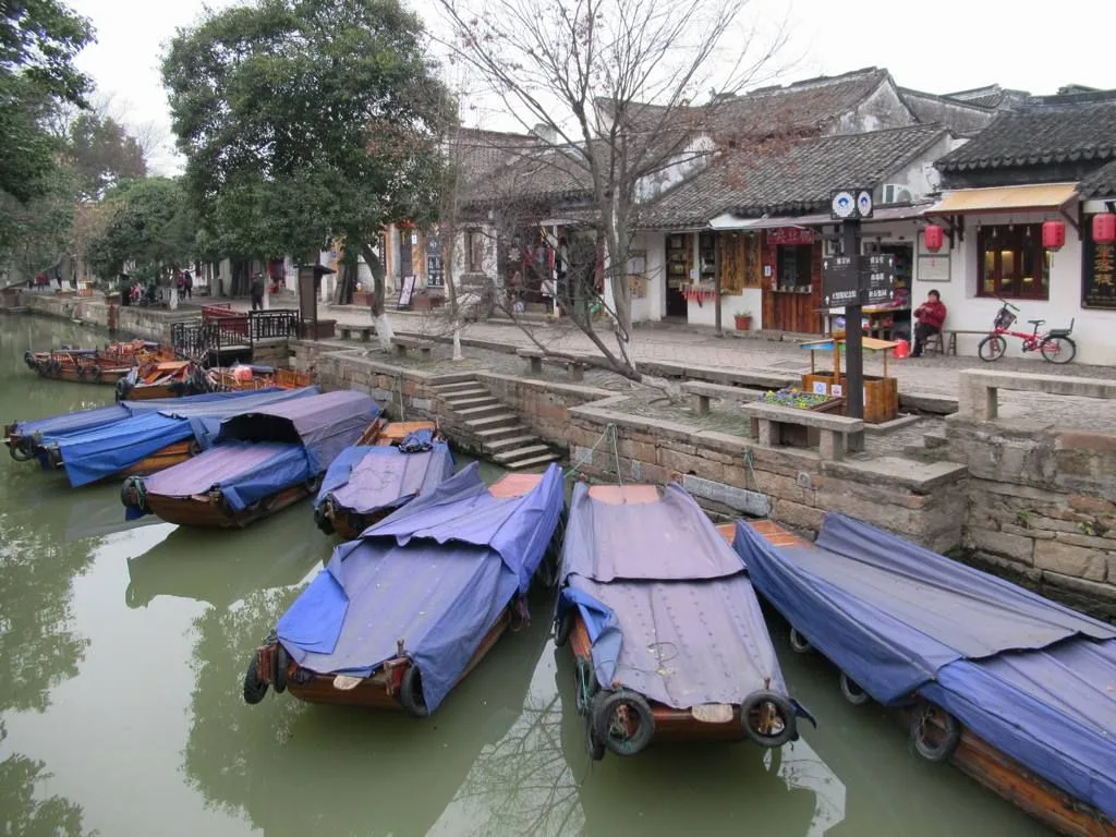 The Tongli canal with traditional wooden rowboats covered in blue canvas awnings — the boats tied up along the stone embankment with the white-walled, black-tiled traditional houses of the old town rising behind, the riverside scene that visitors on the canal cruise pass every few hundred meters, the soft afternoon light that photographers prefer for capturing the textures of the old plaster walls