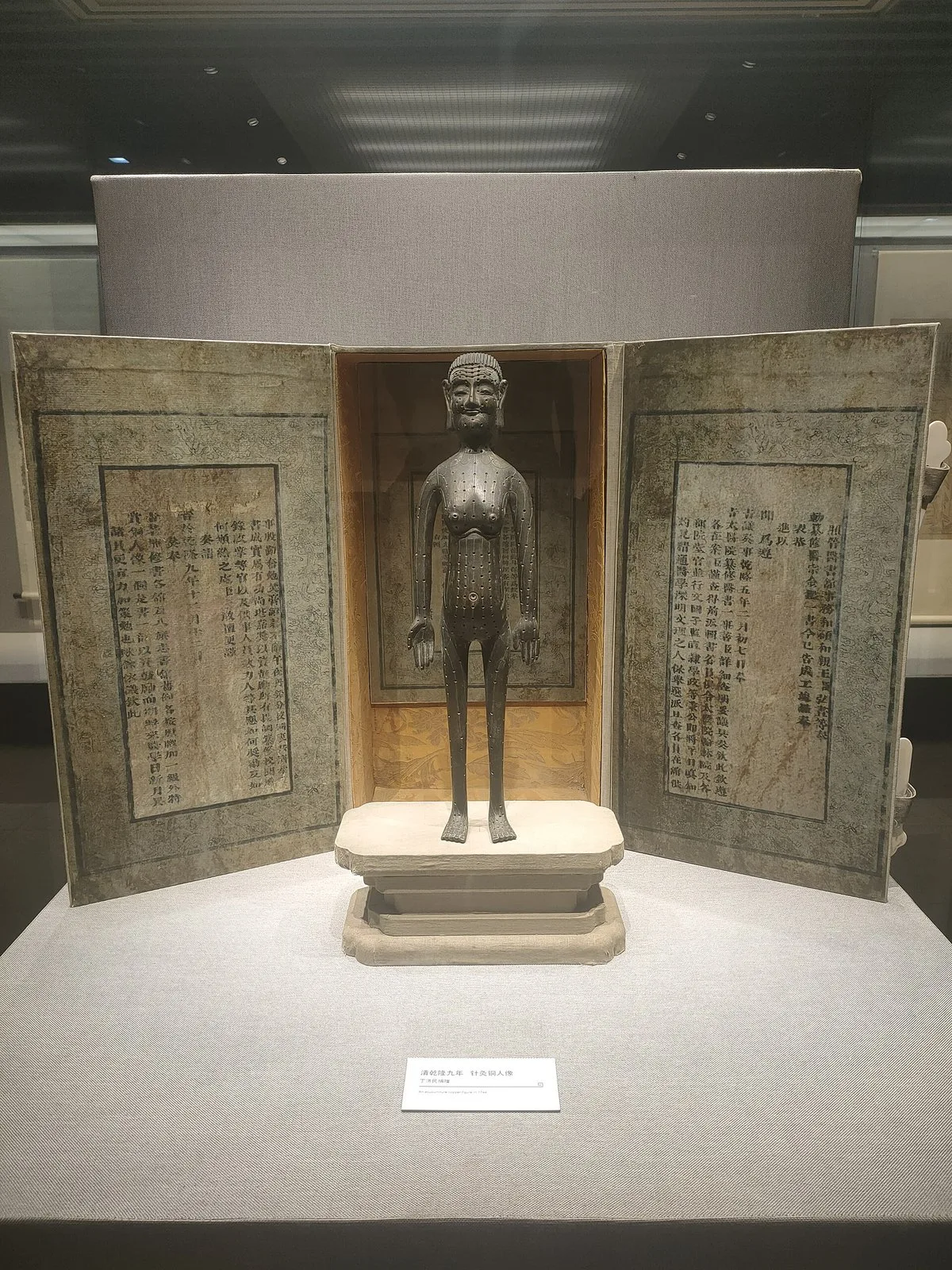 Bronze acupuncture figure (针灸铜人像) at the Shanghai Museum of Traditional Chinese Medicine — the iconic 18th-century teaching model that maps 300+ acupuncture points, representing the deep historical roots of TCM that no other country can match.