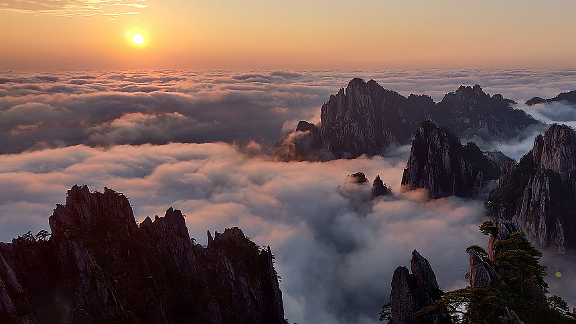 Huangshan Yellow Mountain sea of clouds at sunrise, with twisted granite peaks and pine trees rising above a thick cloud layer, golden morning light illuminating the scene