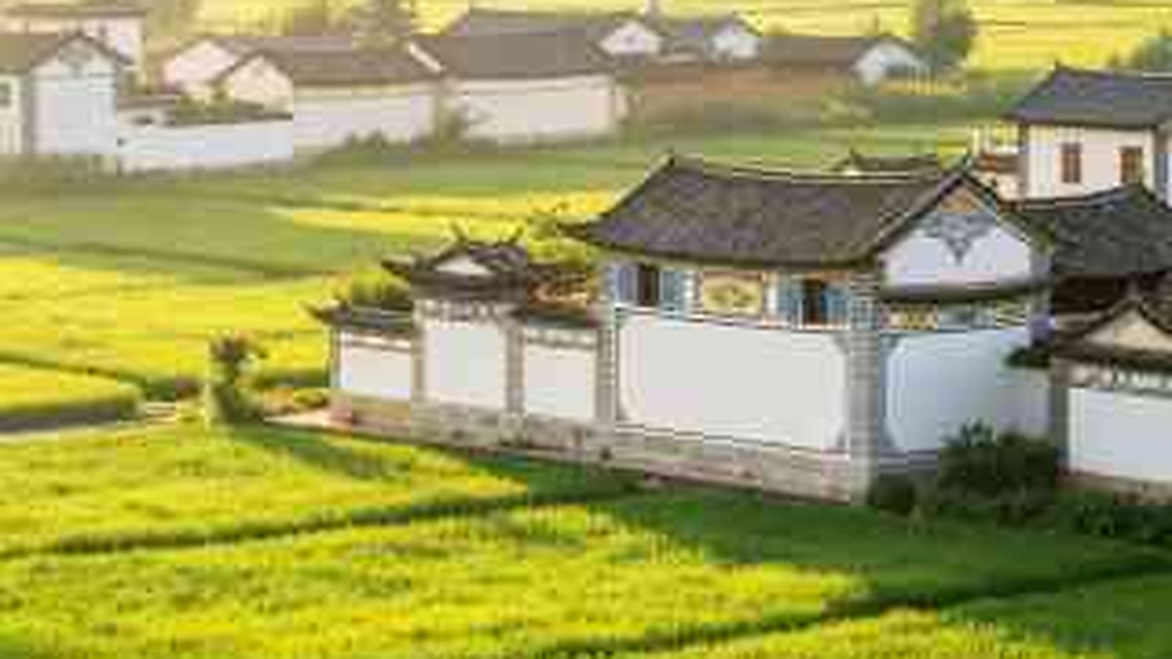 Xizhou Ancient Town (喜洲古镇) — a Bai people's village with traditional white-walled courtyard houses (三坊一照壁), the best-preserved Bai vernacular architecture in Yunnan.