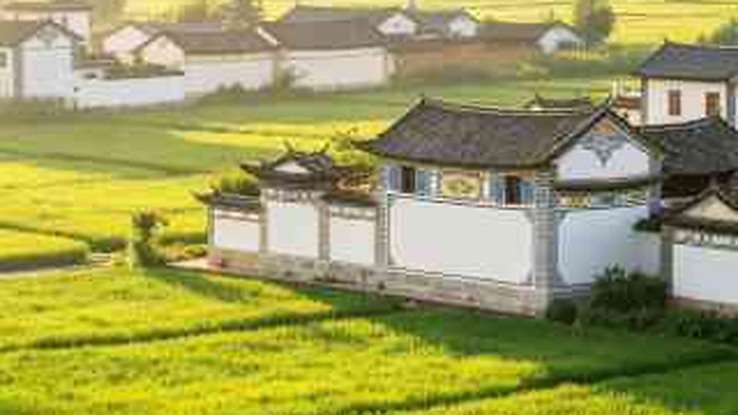 Xizhou Ancient Town (喜洲古镇) — a Bai people's village with traditional white-walled courtyard houses (三坊一照壁), the best-preserved Bai vernacular architecture in Yunnan.