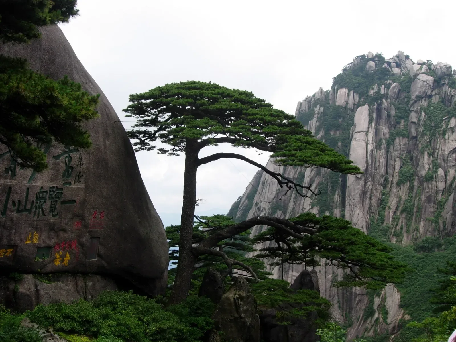 The Welcome Pine (Yingkesong) of Huangshan — a 1,000-year-old pine tree with a long horizontal branch extending out over a rocky cliff, set against a backdrop of sheer granite peaks, with a large inscribed boulder in the foreground bearing red Chinese calligraphy and the inscription '黄山' (Huangshan).