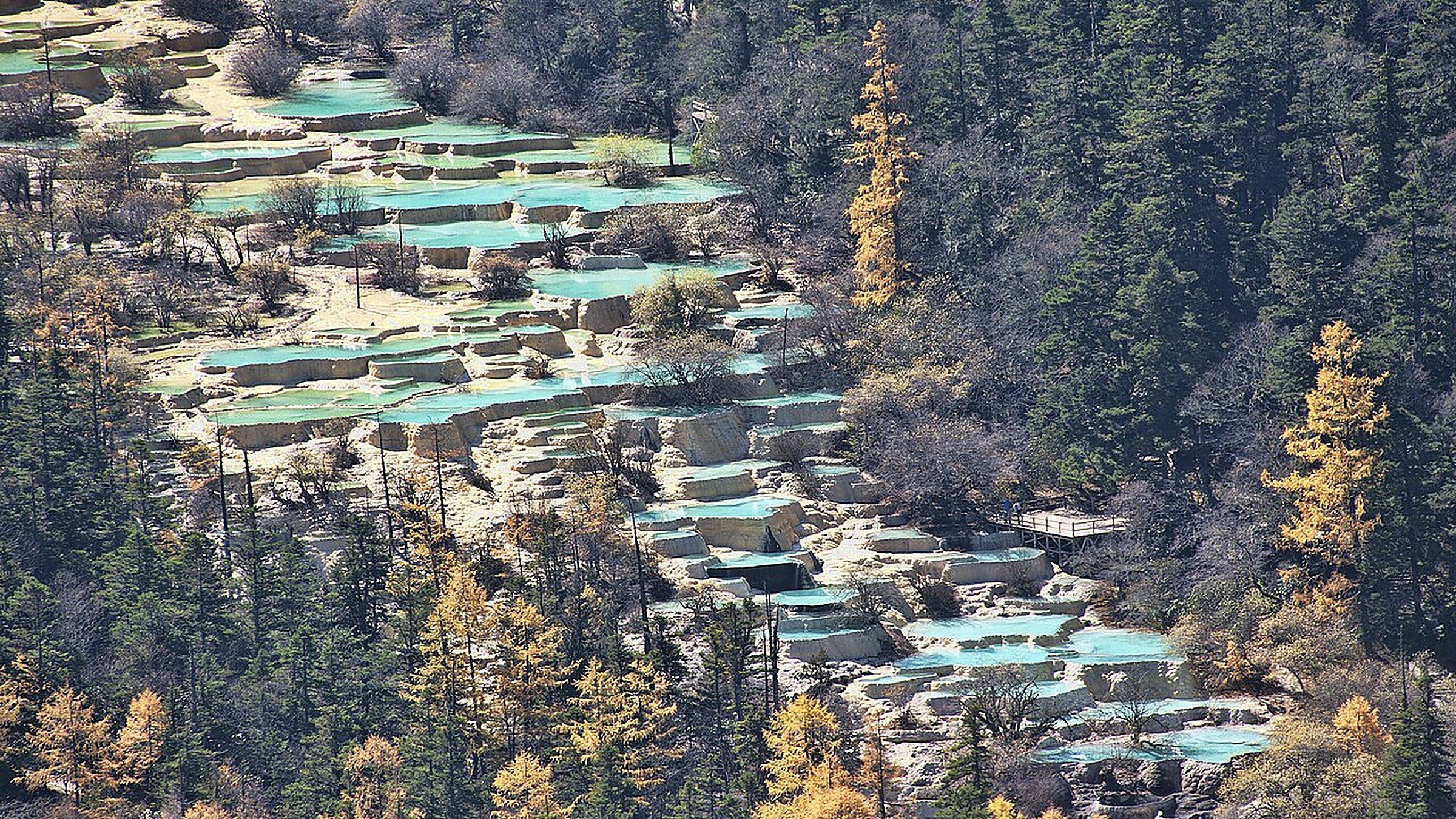 Huanglong Scenic Area (黄龙) — a UNESCO World Heritage valley 50 km north of Jiuzhaigou, with terraced calcium-travertine pools in blue, yellow, and green running 3.6 km down the mountain.