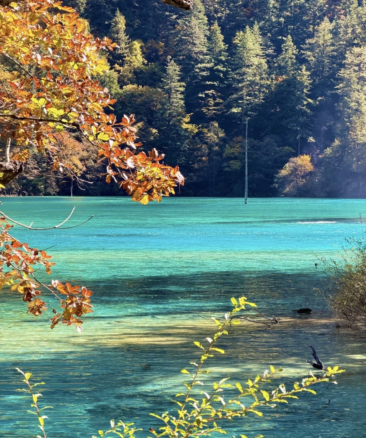 Long Lake (长海) — the largest and highest lake in Jiuzhaigou at 3,100m elevation, 7.5 km long, famous for its standing dead tree and golden autumn reflections on still water.