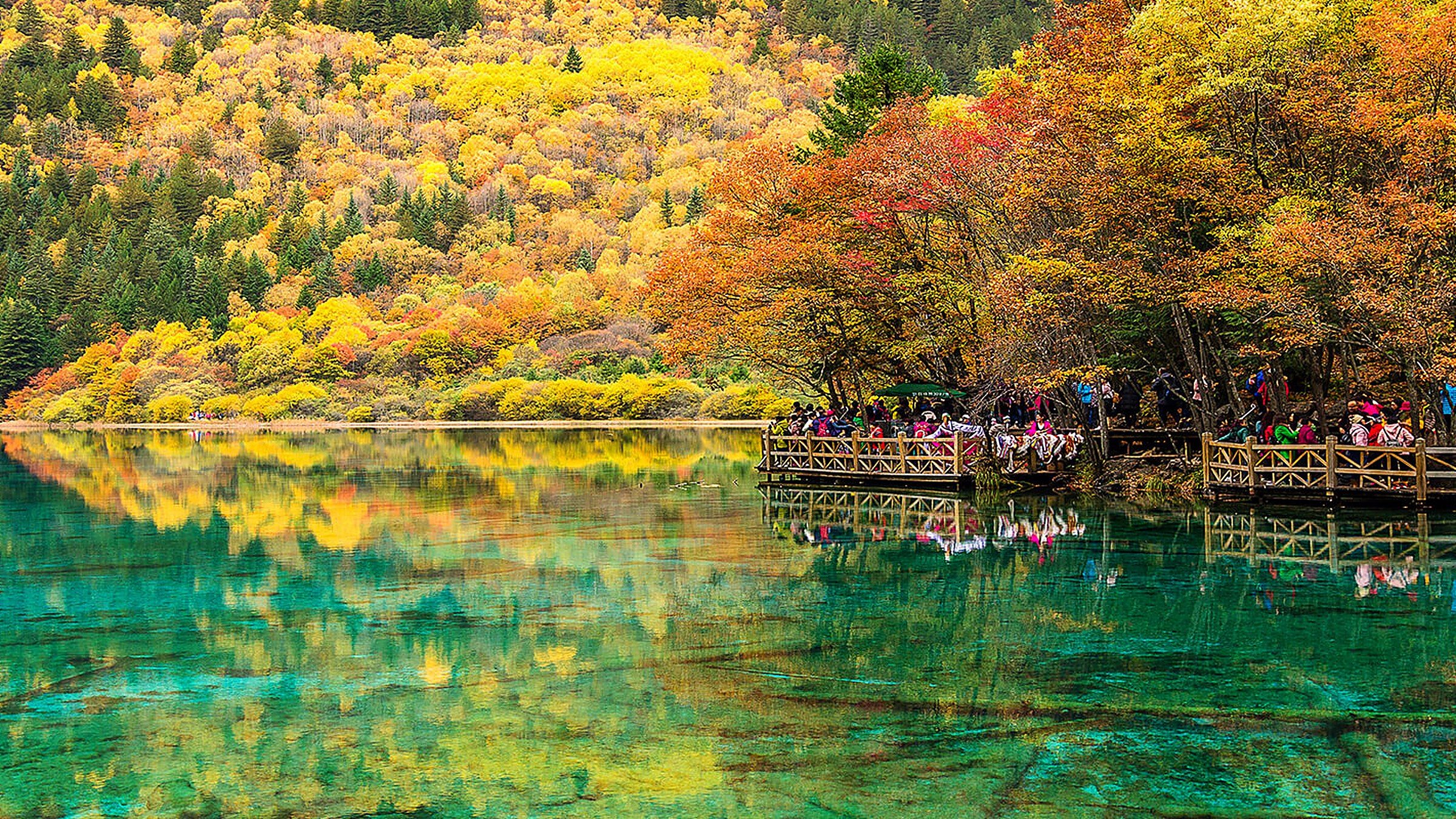 Five Color Lake in Jiuzhaigou with golden autumn leaves reflected in turquoise water