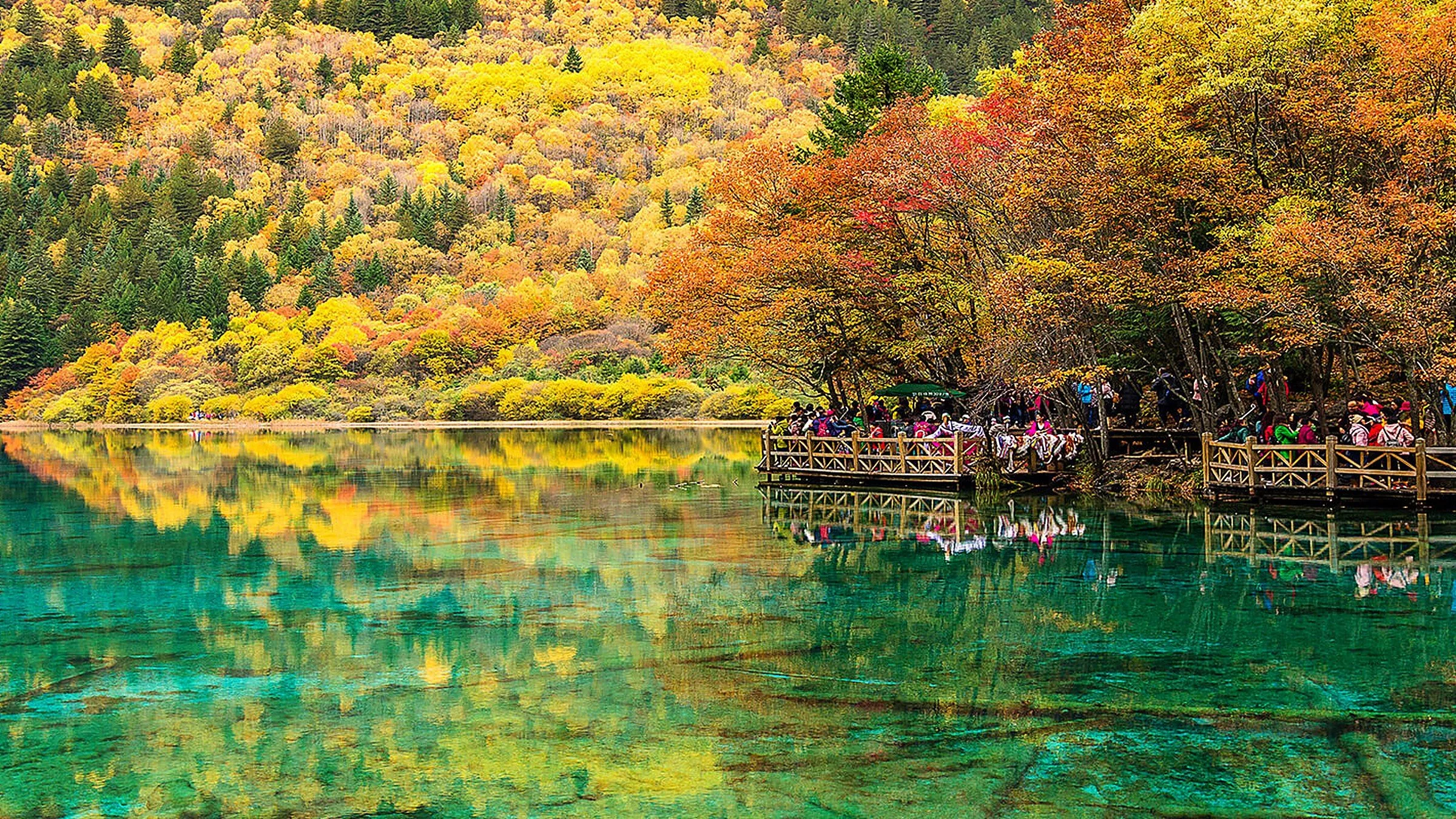 Five Color Lake in Jiuzhaigou with golden autumn leaves reflected in turquoise water