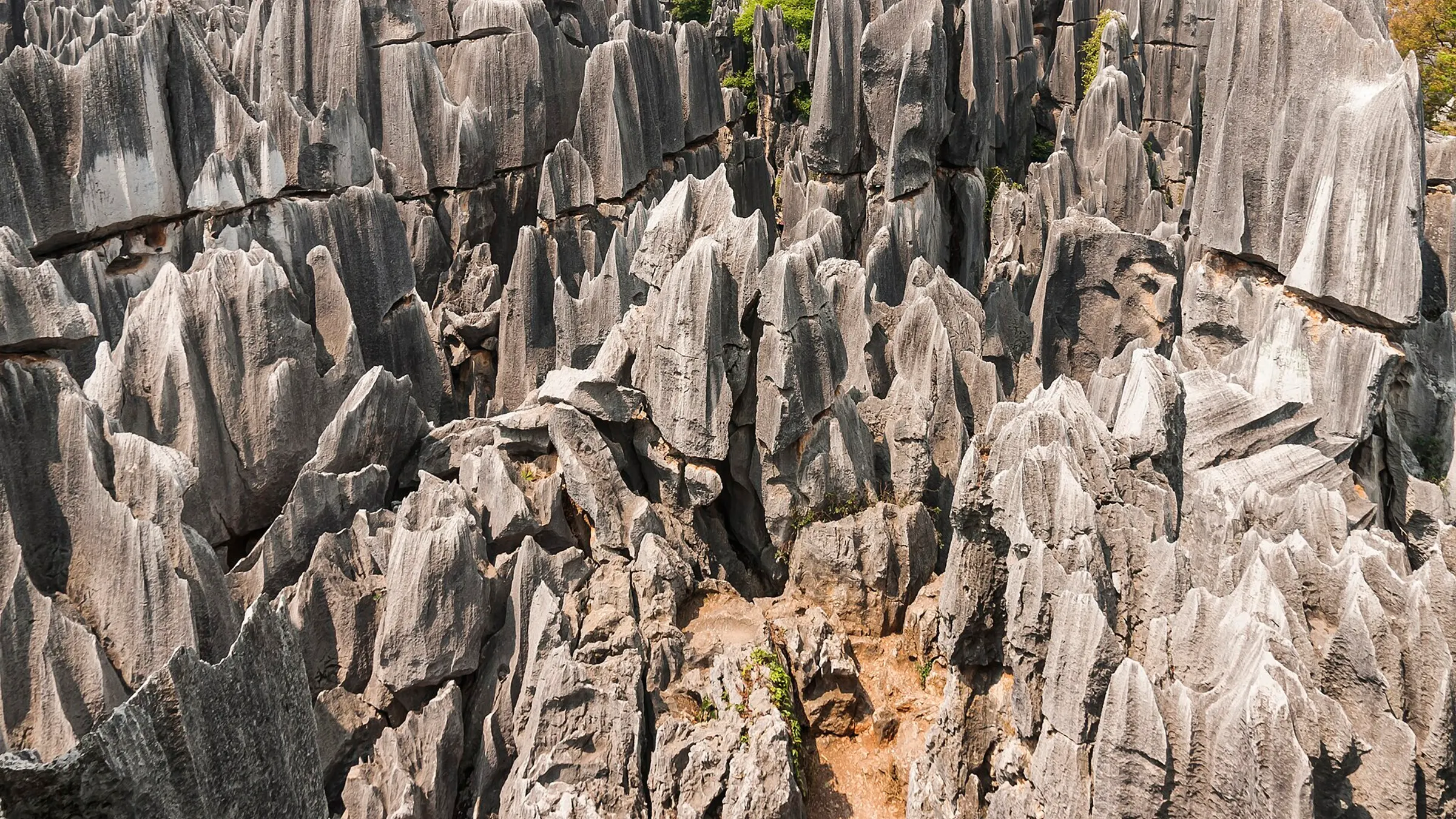 Limestone pinnacles in the Stone Forest karst — part of the UNESCO South China Karst site.