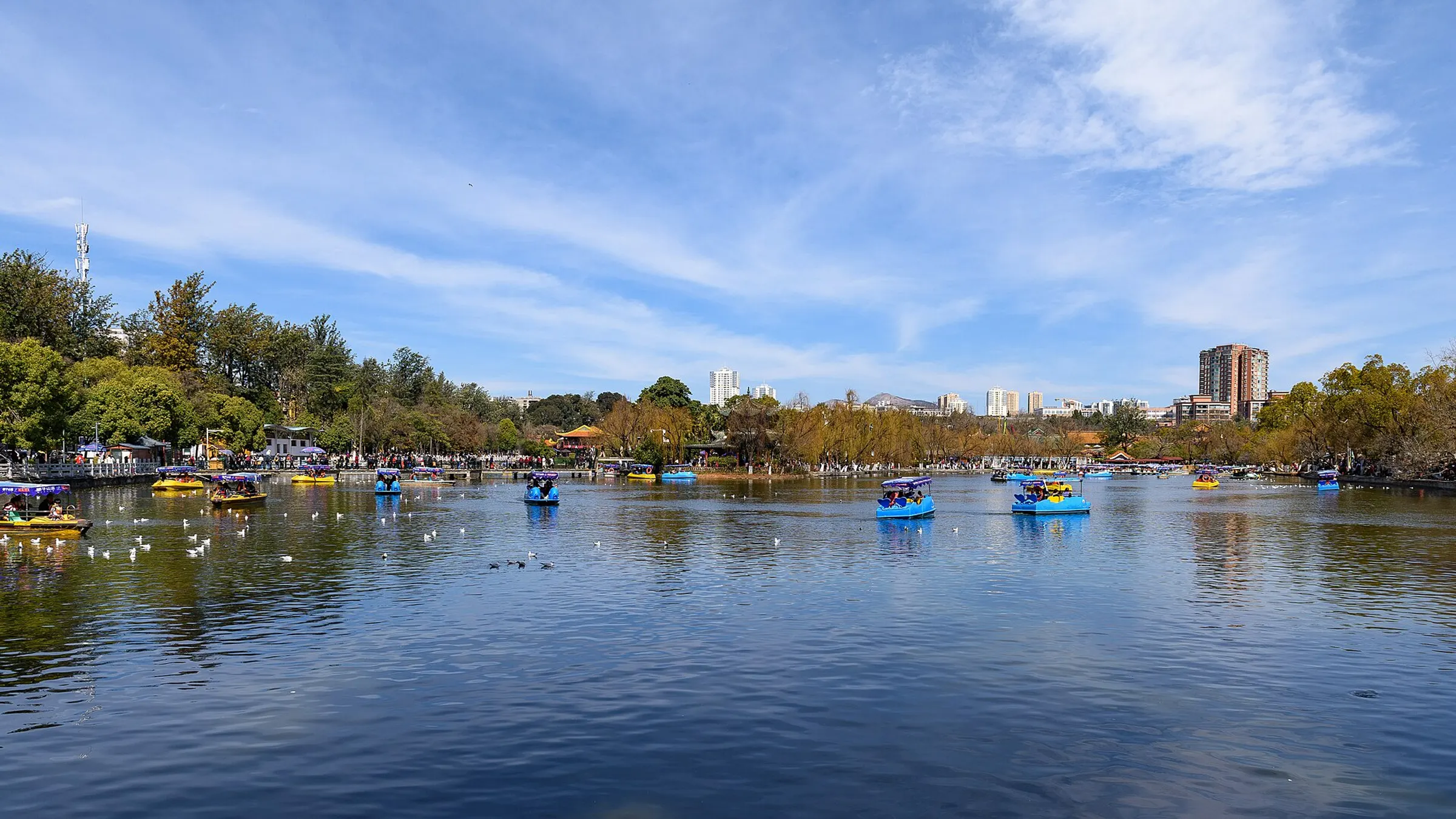 Green Lake in central Kunming — the city's shared living room, ringed by trees and paddle boats.