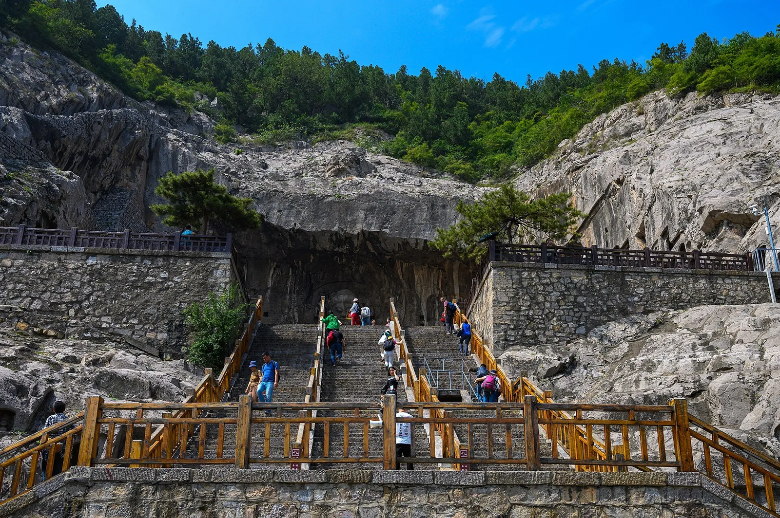 The Longmen Grottoes stairway carved into the cliff, with visitors climbing up to a cave shrine and pine trees growing on the rocks above, under a bright blue sky.