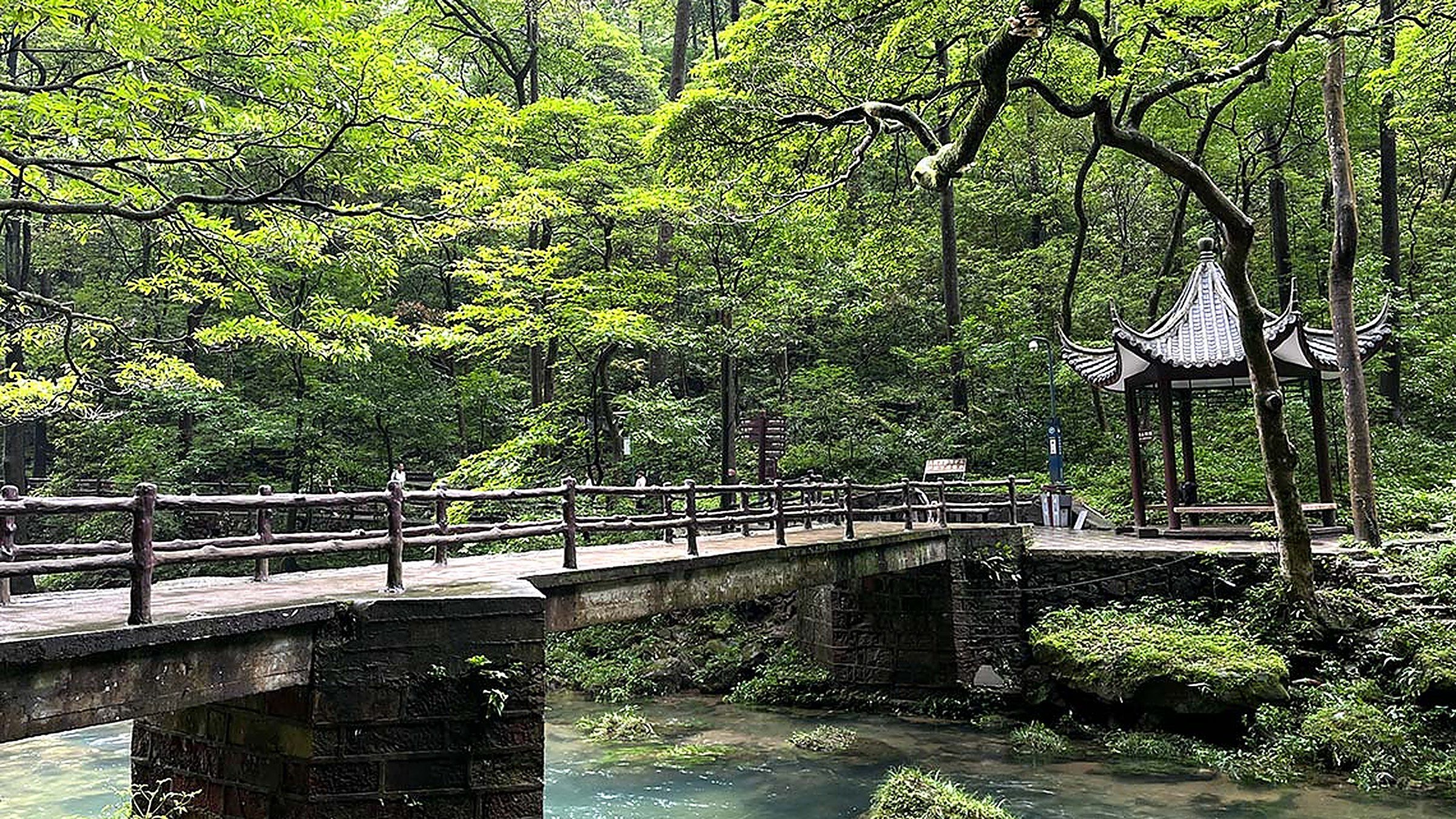 Wulingyuan Scenic Area (武陵源) — a UNESCO World Heritage sandstone-pillar forest covering 391 km², with over 3,000 narrow quartzite peaks and the Golden Whip Stream (金鞭溪) canyon.