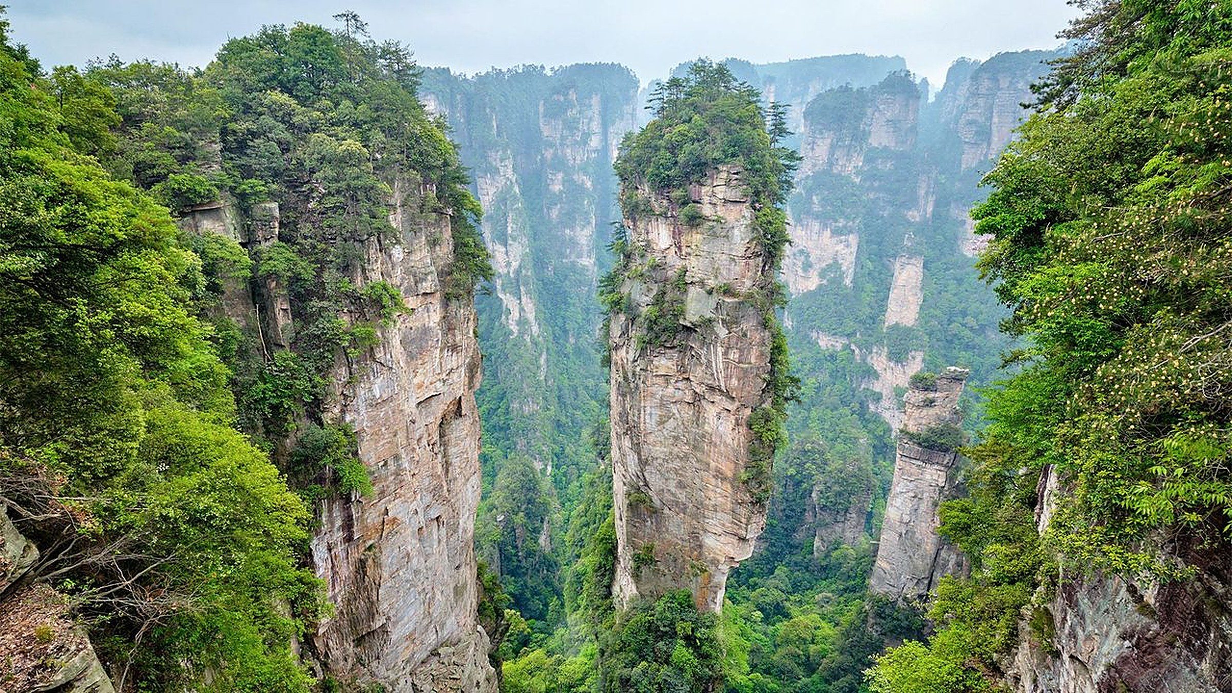Avatar mountain sandstone pillars shrouded in mist at Zhangjiajie