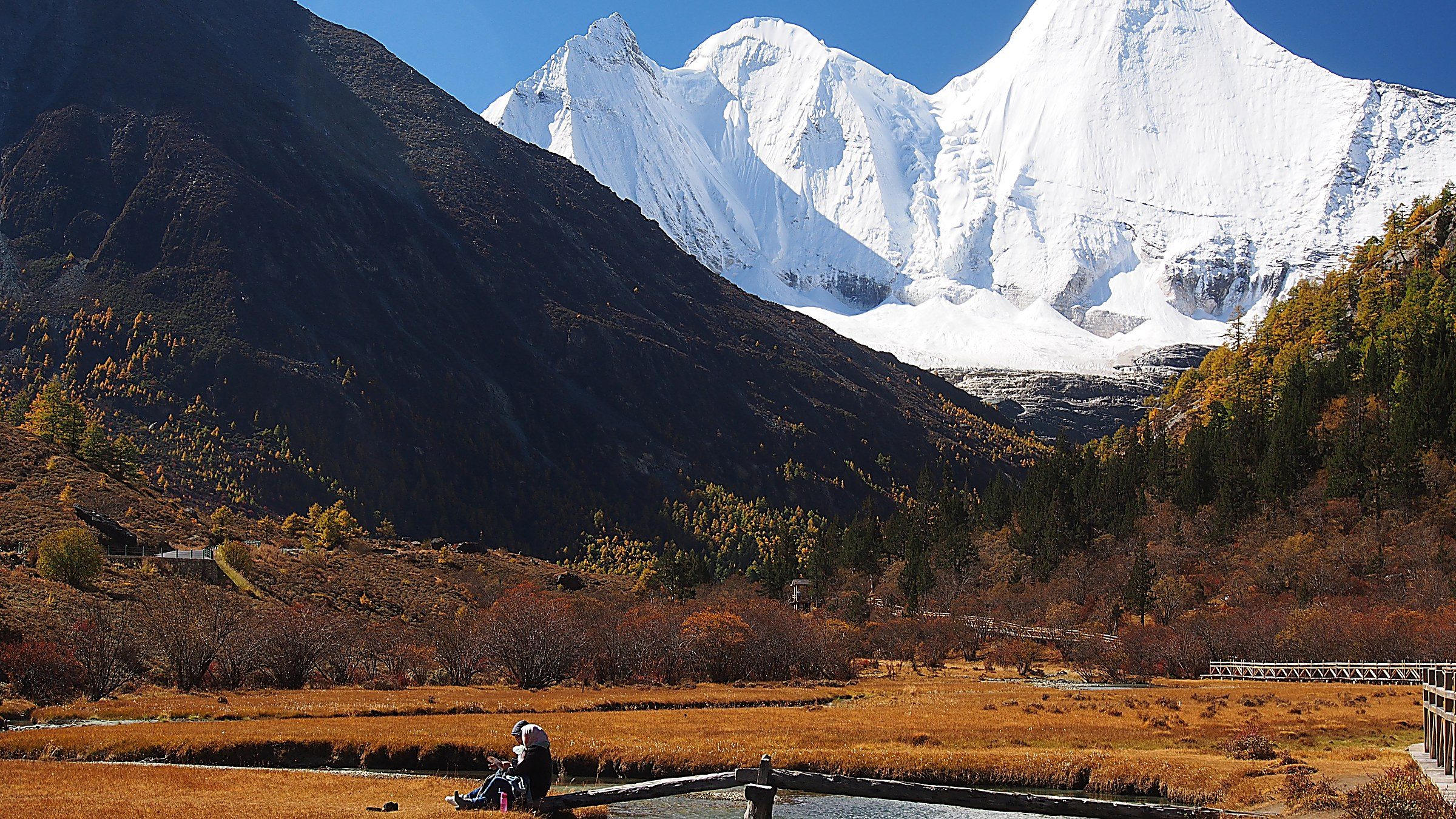 Three snow-capped sacred mountains of Daocheng Yading reflected in the still milky-blue waters of Milk Lake, with a lone hiker on a wooden boardwalk in the foreground, autumn golden forest below