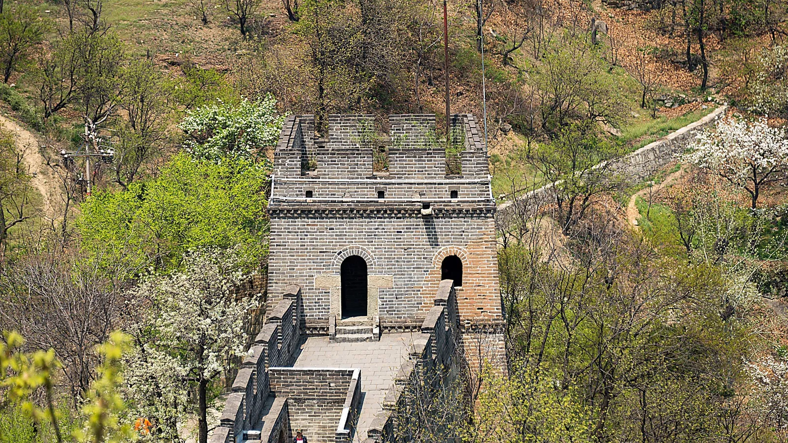 A restored Ming-era watchtower at the Great Wall in spring, framed by blooming pear trees and fresh green foliage, with the wall extending into the distance on both sides — the architectural detail of the brick battlements, crenellations, and arched tower windows visible up close, which is what makes the spring season the most-photographed for foreground detail shots