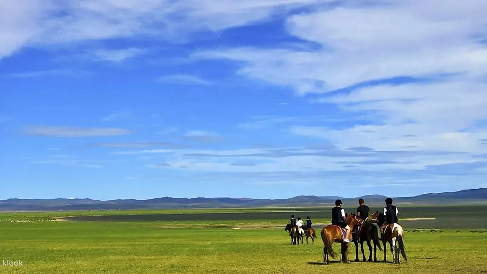 Un gruppo di cavalieri sulla steppa di Hulunbuir a fine estate: cinque cavalieri in abbigliamento e caschi da equitazione su cavalli mongoli che attraversano la prateria verde sotto un cielo blu brillante con nuvole cumuliformi sparse, le basse colline ondulate della steppa di Erguna visibili all'orizzonte, l'escursione standard a cavallo di mezza giornata offerta nella maggior parte dei campi di yurta a luglio-agosto e il modo più semplice per i visitatori stranieri di vivere la steppa senza noleggiare una jeep