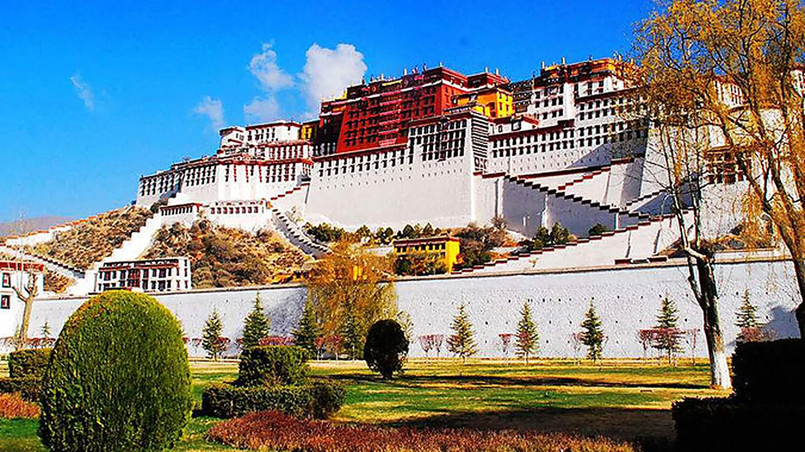Istana Potala dari alun-alun selatan di musim gugur — Istana Merah tengah dengan ujung atapnya yang berlapis emas dan teras Istana Putih di sisi kiri-kanan, dibingkai oleh pohon-pohon poplar berdaun emas dan taman yang terawat di depan kompleks, dinding perimeter putih bersinar di bawah cahaya sore — eksterior Istana Potala yang paling banyak difoto di musim apa pun, diambil dari sisi selatan dekat pintu masuk wisata utama