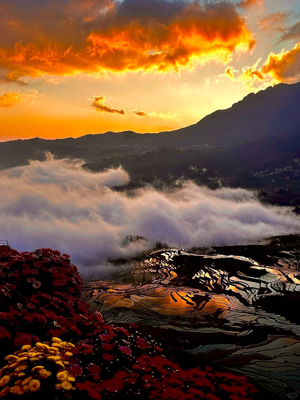 Yuanyang Rice Terraces at sunrise with water-filled paddies reflecting the pink and orange sky, a sea of clouds rolling through the valley below, and the silhouettes of Hani villages on the ridge