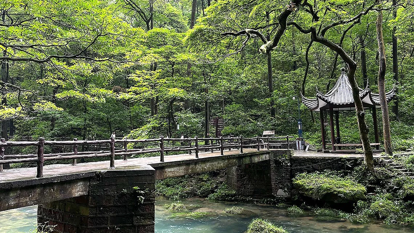The Golden Whip Stream (金鞭溪) trail in Wulingyuan — a stone-paved walking path crossing a crystal-clear stream via a low stone bridge, a traditional Chinese pavilion on the far bank and the dense old-growth forest of oak and Chinese fir enclosing the valley, the 7.5-km flat walk that most visitors do on day 2 between the main scenic areas