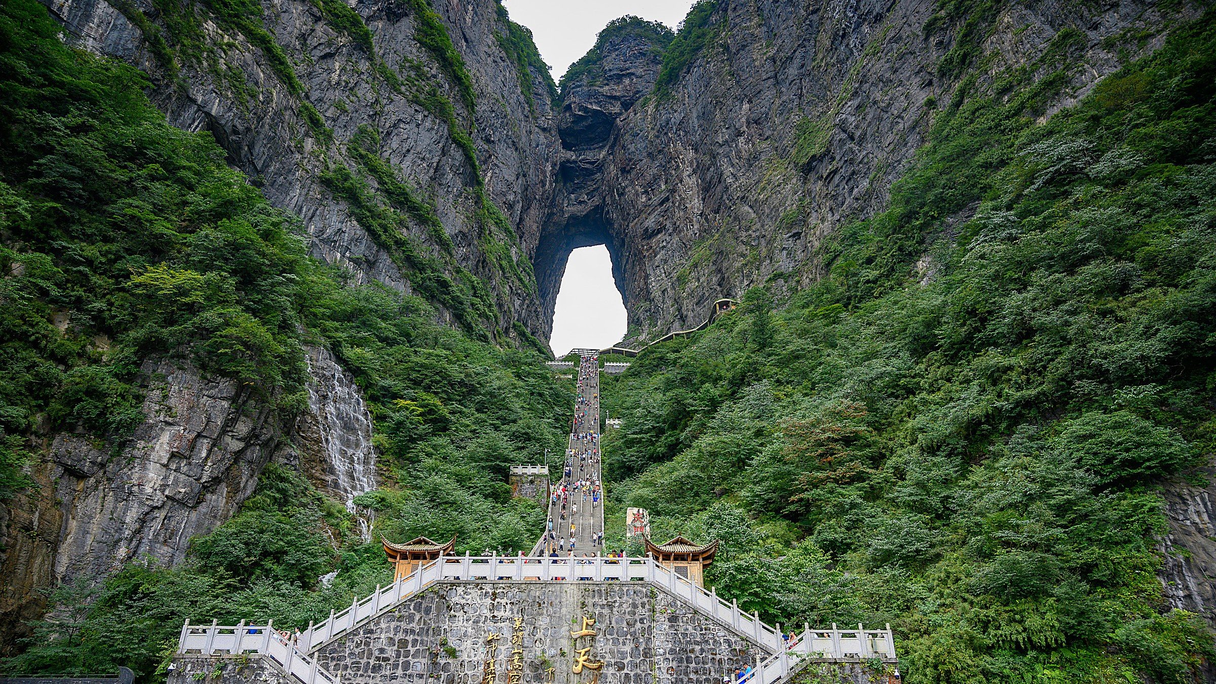 Misty sandstone pillars of Zhangjiajie National Forest Park at sunrise, with hundreds of vertical quartz-sandstone columns rising through low cloud layer in Hunan, China